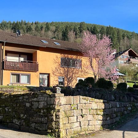 Appartamento Viva La Wildbad Bad Wildbad Esterno foto