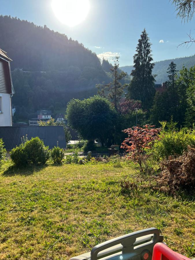 Appartamento Viva La Wildbad Bad Wildbad Esterno foto