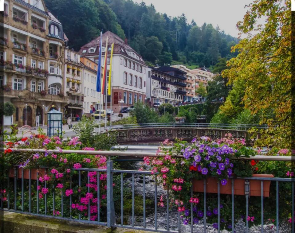 Appartamento Viva La Wildbad Bad Wildbad Esterno foto