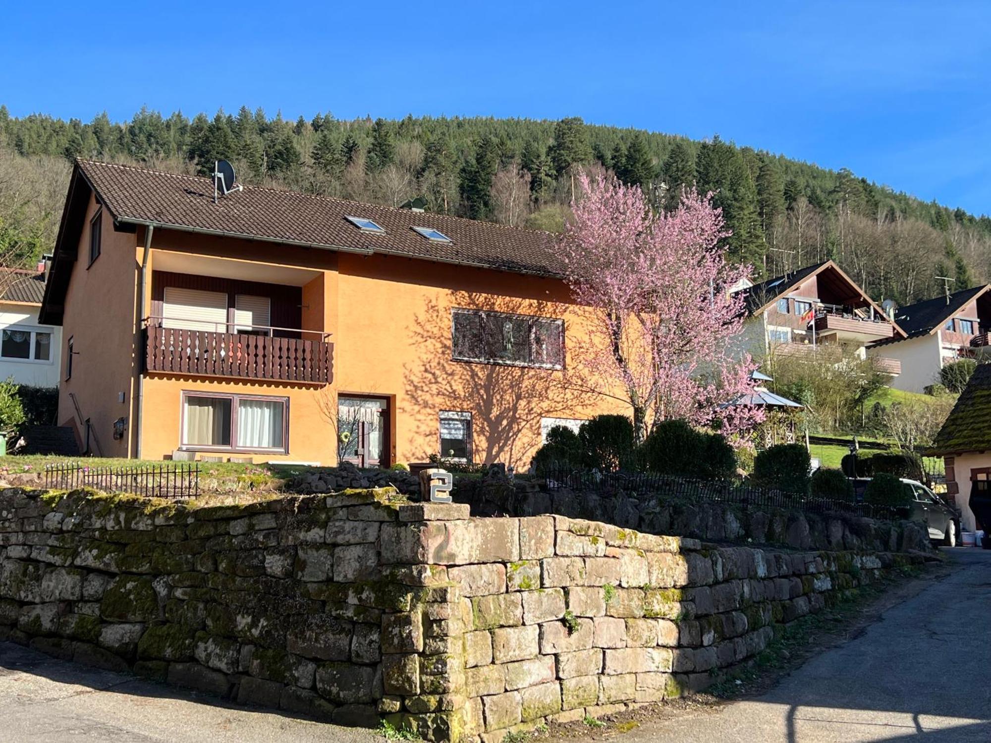 Appartamento Viva La Wildbad Bad Wildbad Esterno foto