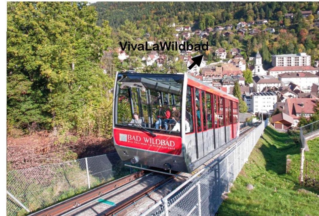 Appartamento Viva La Wildbad Bad Wildbad Esterno foto